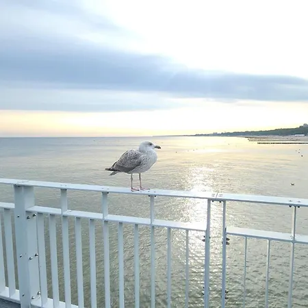 Balticsky Loft Premium, Kolobrzeg, Basen, Jacuzzi, Sauna Appartement