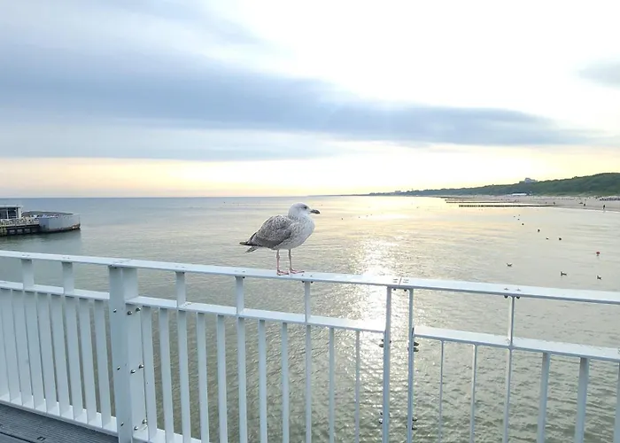 Balticsky Loft Premium, K O L O B R Z E G Apartamento